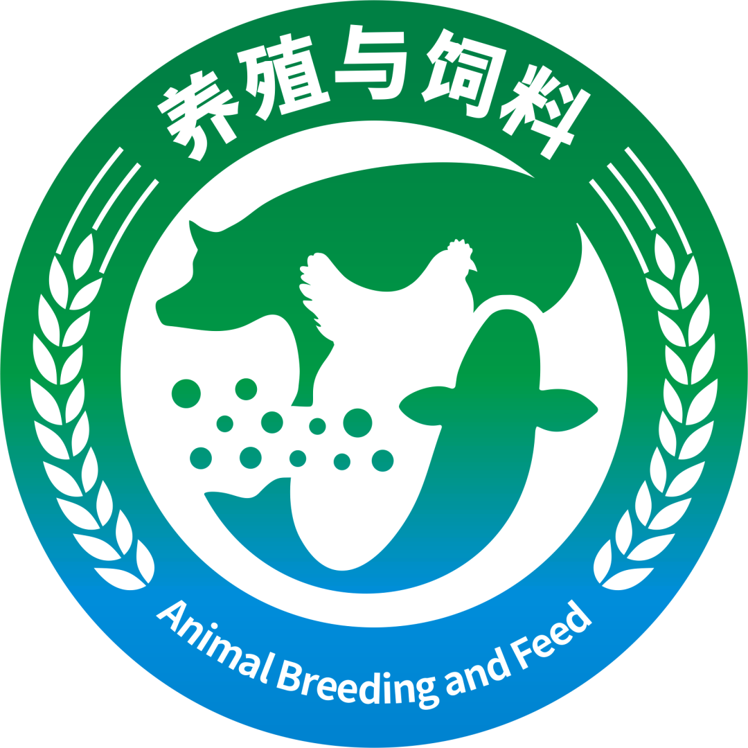 饲料